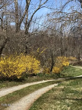 $2,200,000 | 451 Heaton Creek Road, Roan Mountain, TN 37687