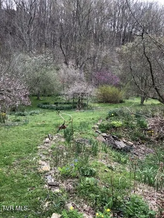 $2,200,000 | 451 Heaton Creek Road, Roan Mountain, TN 37687