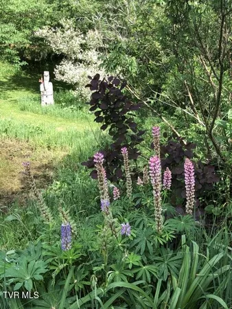 $2,200,000 | 451 Heaton Creek Road, Roan Mountain, TN 37687