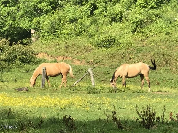 $2,200,000 | 451 Heaton Creek Road, Roan Mountain, TN 37687