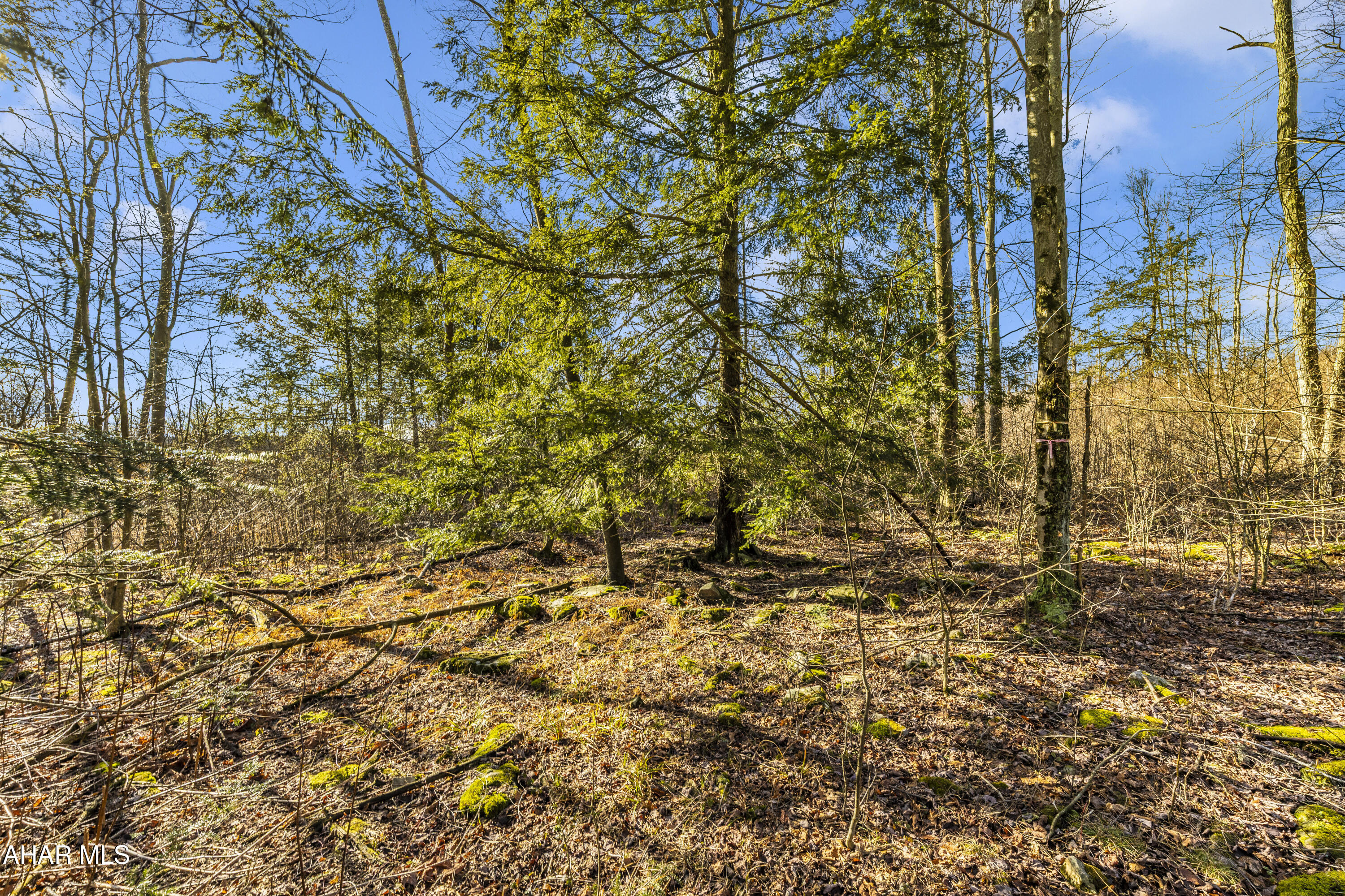 0 Lot 6 Mountain Road Road Lilly, PA 15938 - Photo 2 of 33