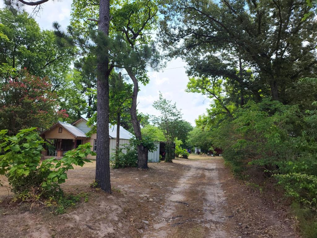 2110 Fm 275 Emory, TX 75440 - Photo 14 of 14 a view of a forest with trees
