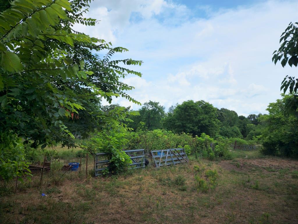 2110 Fm 275 Emory, TX 75440 - Photo 10 of 14 a view of a forest with trees in the background