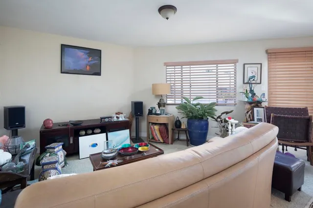 a living room with furniture and a potted plant