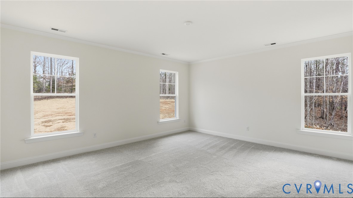 8124 Clancy Court Chesterfield, VA 23838 - Photo 23 of 49