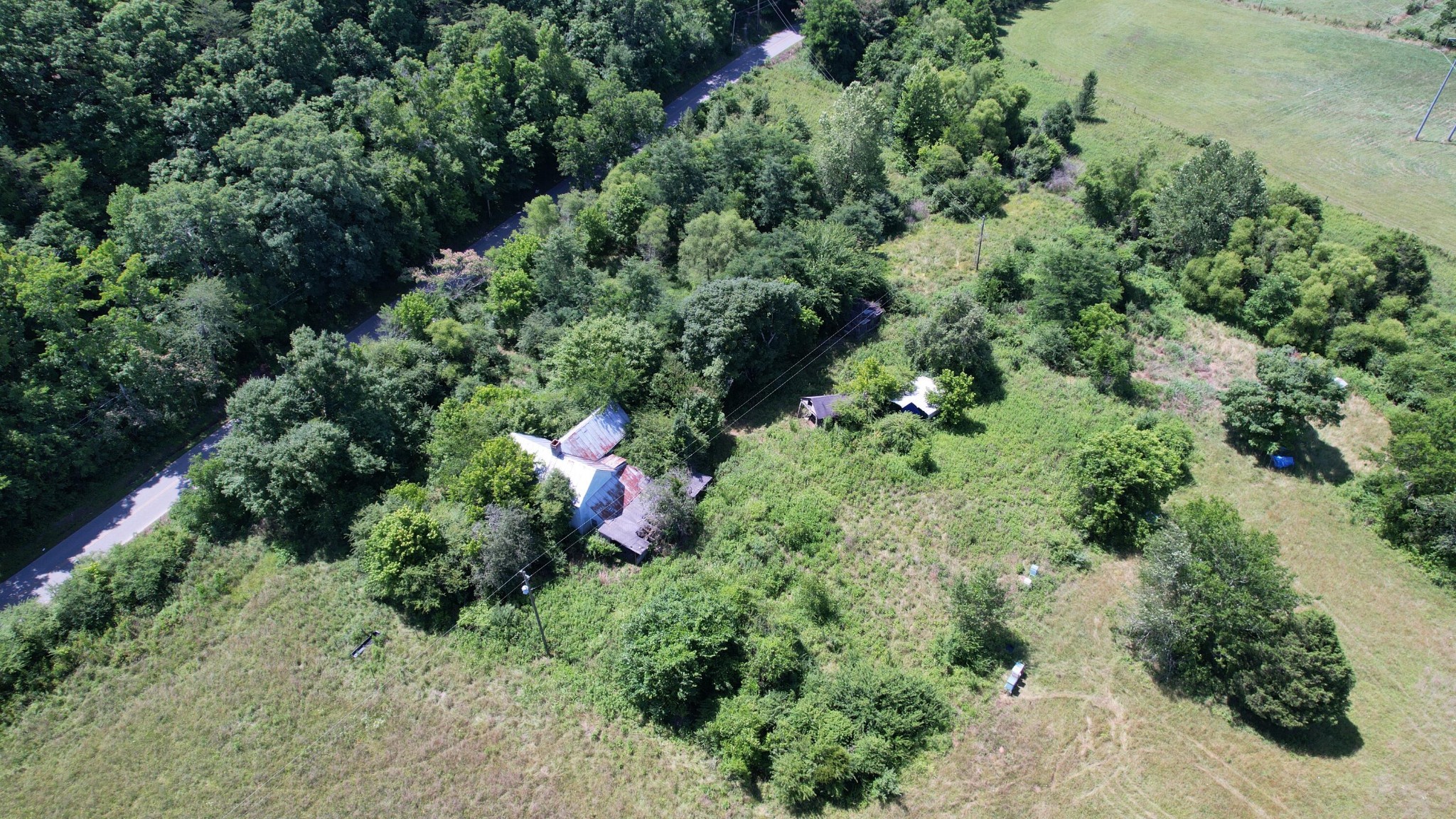 5047 Toestring Valley Road Spring City, TN 37381 - Photo 31 of 44
