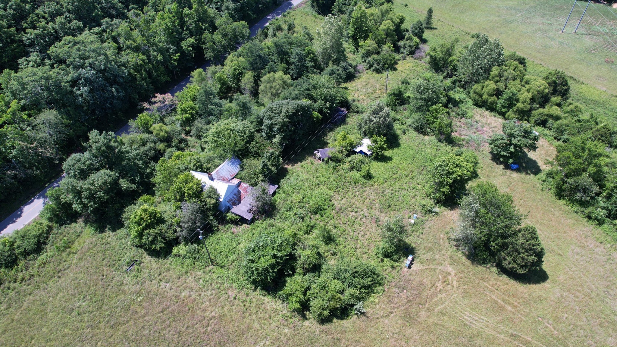 5047 Toestring Valley Road Spring City, TN 37381 - Photo 33 of 44