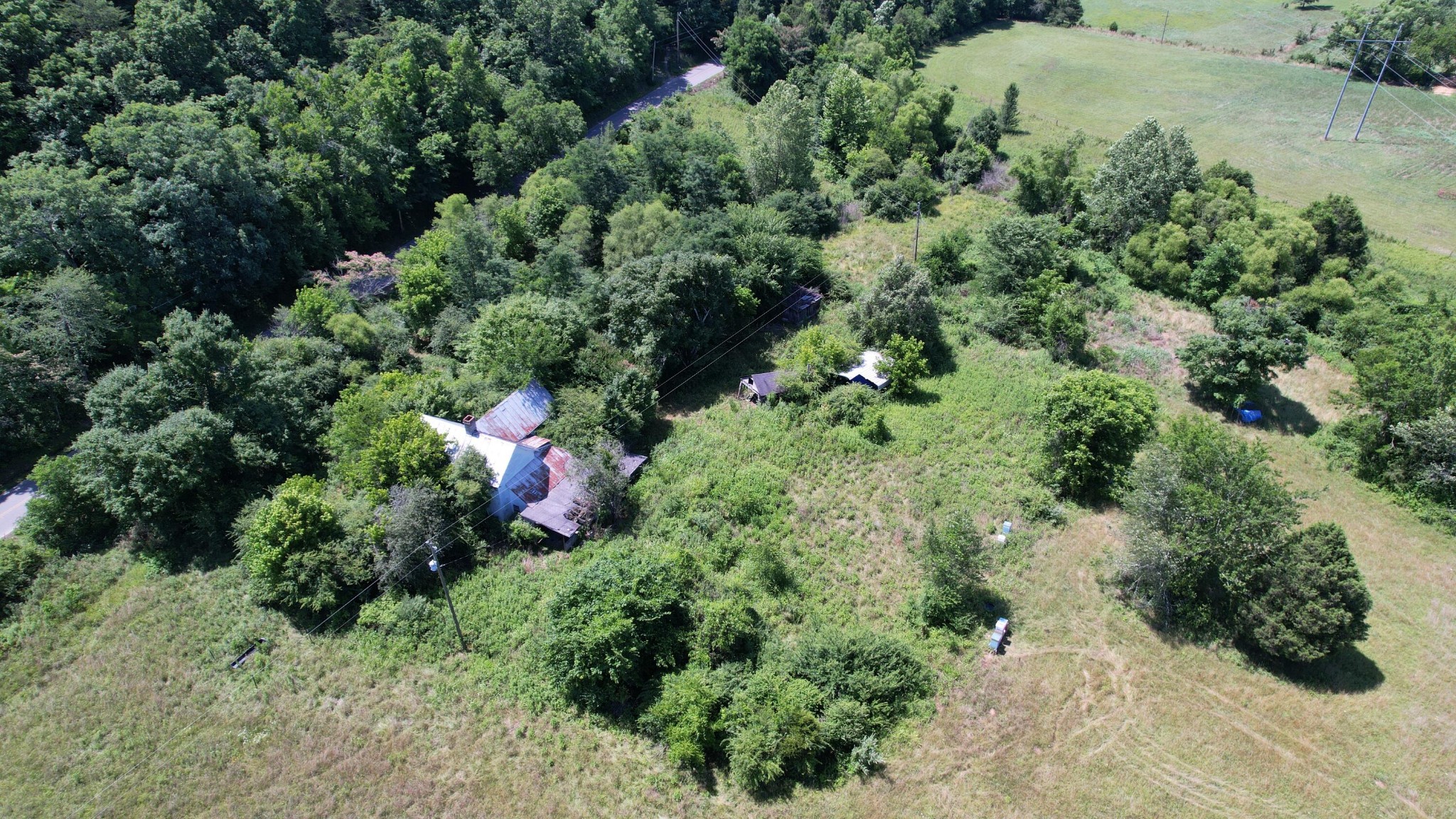 5047 Toestring Valley Road Spring City, TN 37381 - Photo 34 of 44