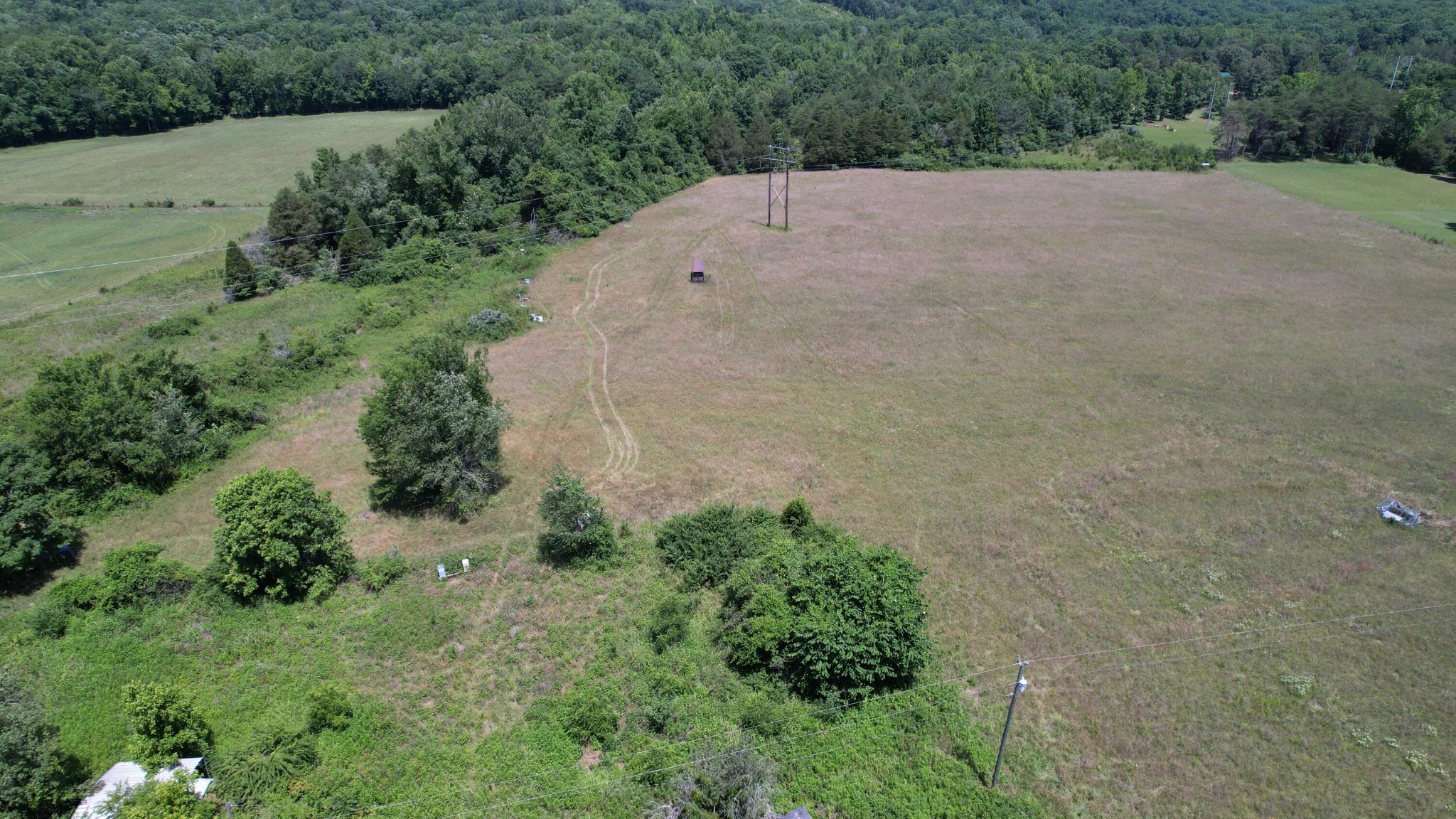 5047 Toestring Valley Road Spring City, TN 37381 - Photo 43 of 44
