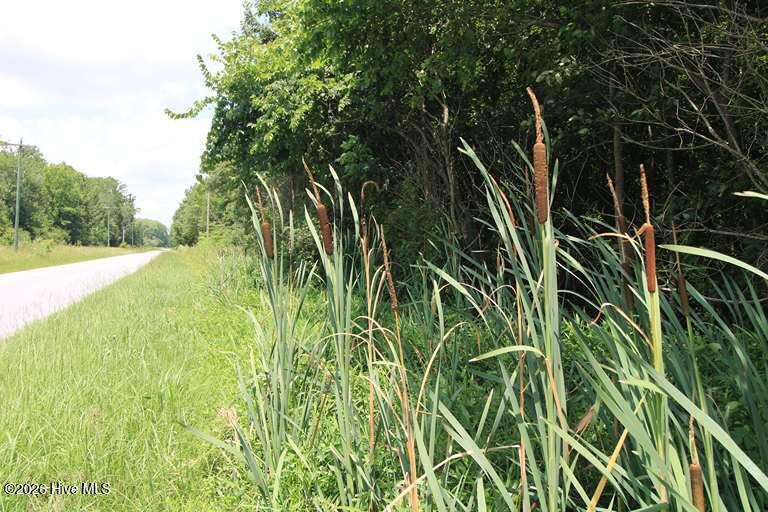 0 North River Road Camden, NC 27921 - Photo 24 of 50