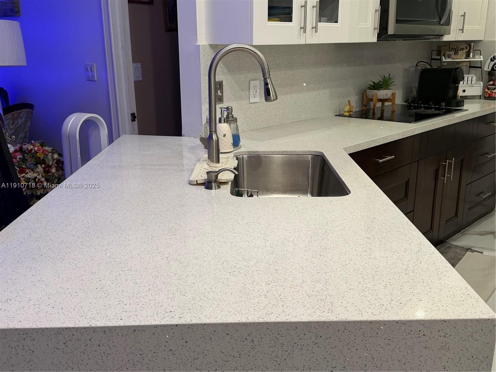 5259 Northwest 184th Lane Miami Gardens, FL 33055 - Photo 25 of 32 a close view of sink and tap