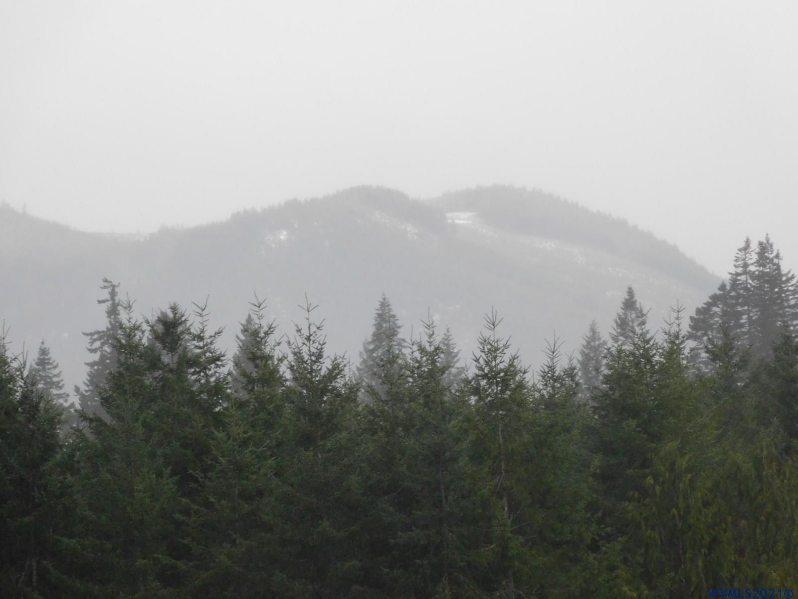 8250 Grand Ronde Road Grand Ronde, OR 97347 - Photo 2 of 37