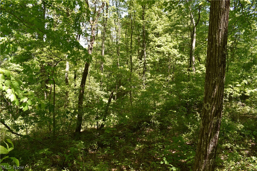Merrill Ridge Road New Matamoras, OH 45767 - Photo 11 of 28