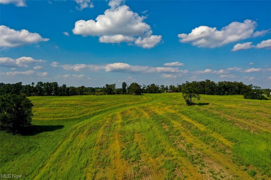 8215 Rochester Road East Rochester, OH 44625 - Photo 6 of 34 view of field