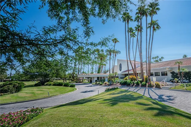 a garden with palm trees