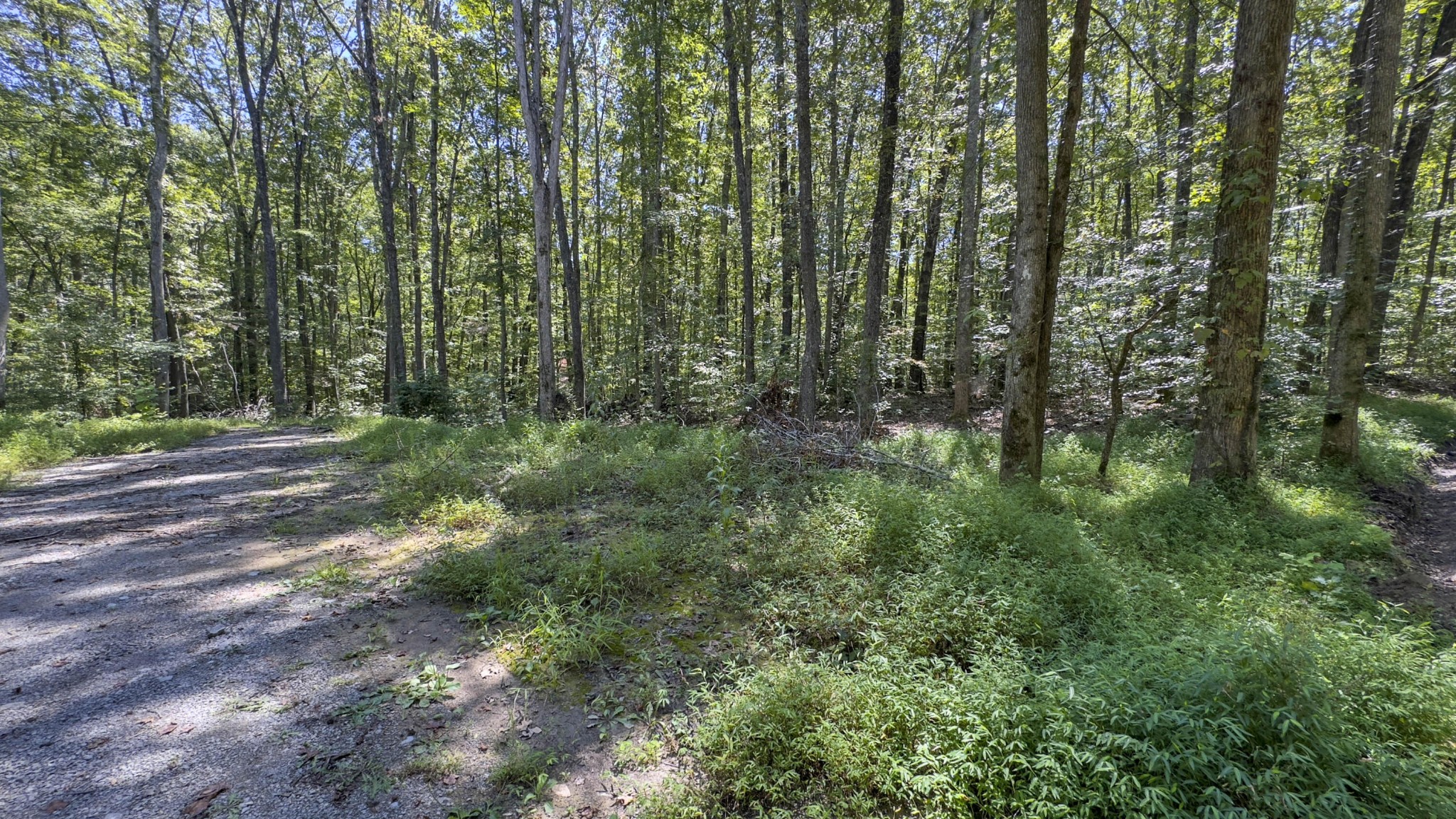 286 Clifton Cemetery Road Spring City, TN 37381 - Photo 19 of 19