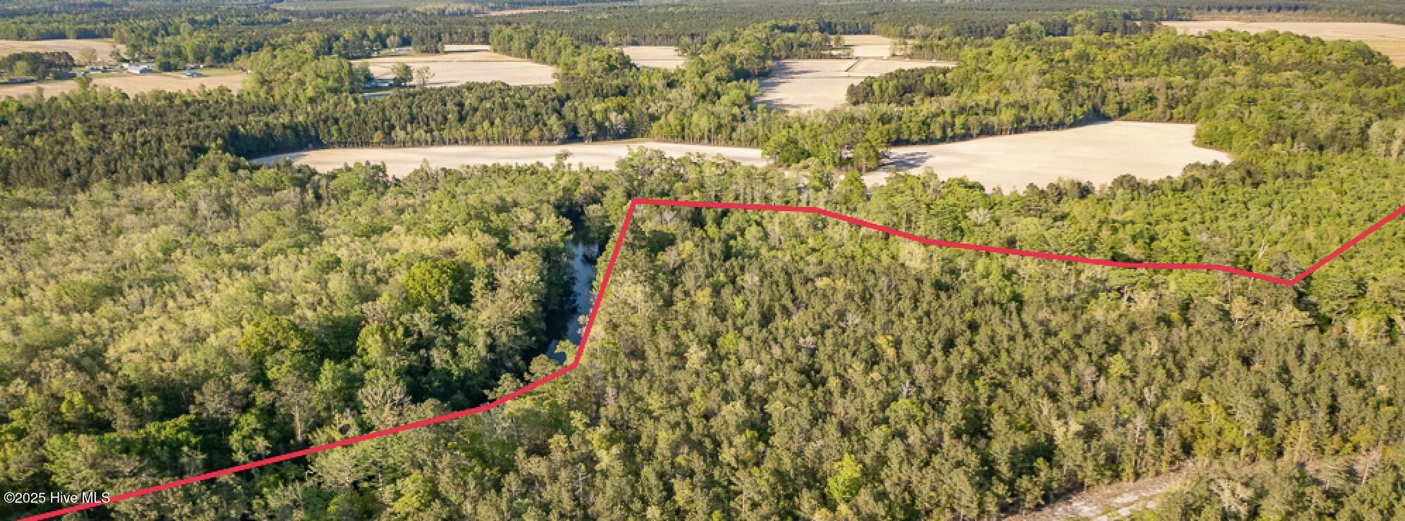 0 Streets Ferry Road Vanceboro, NC 28586 - Photo 7 of 8 tempImageRYN13M