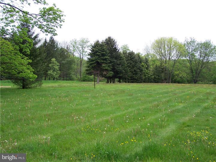 178 Edison Furlong Road Doylestown, PA 18901 - Photo 4 of 15 View in Back