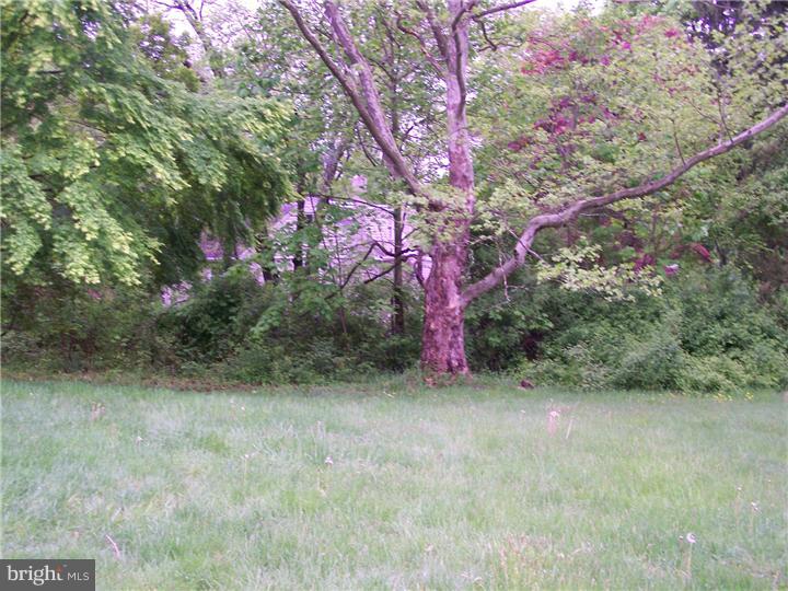 178 Edison Furlong Road Doylestown, PA 18901 - Photo 10 of 15