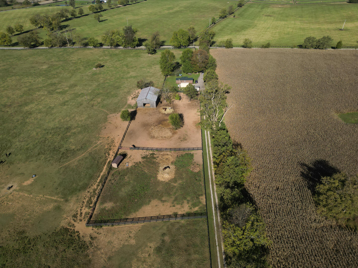 990 Clay Kiser Road Paris, KY 40361 - Photo 22 of 30 DJI_0732