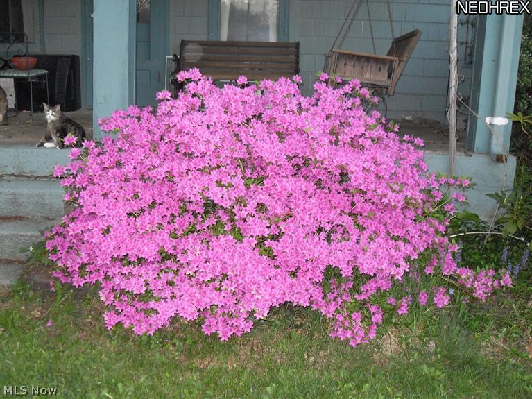 6895 Barrett Road Geneva, OH 44041 - Photo 14 of 21