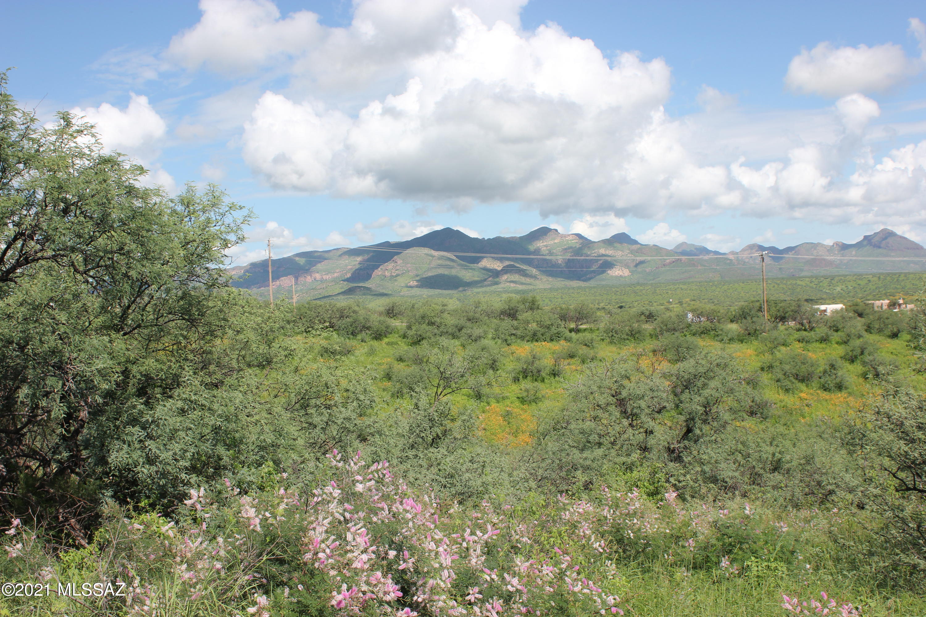 516 Camino Ramanote, Unit 3 Rio Rico, AZ 85648 - Photo 3 of 3