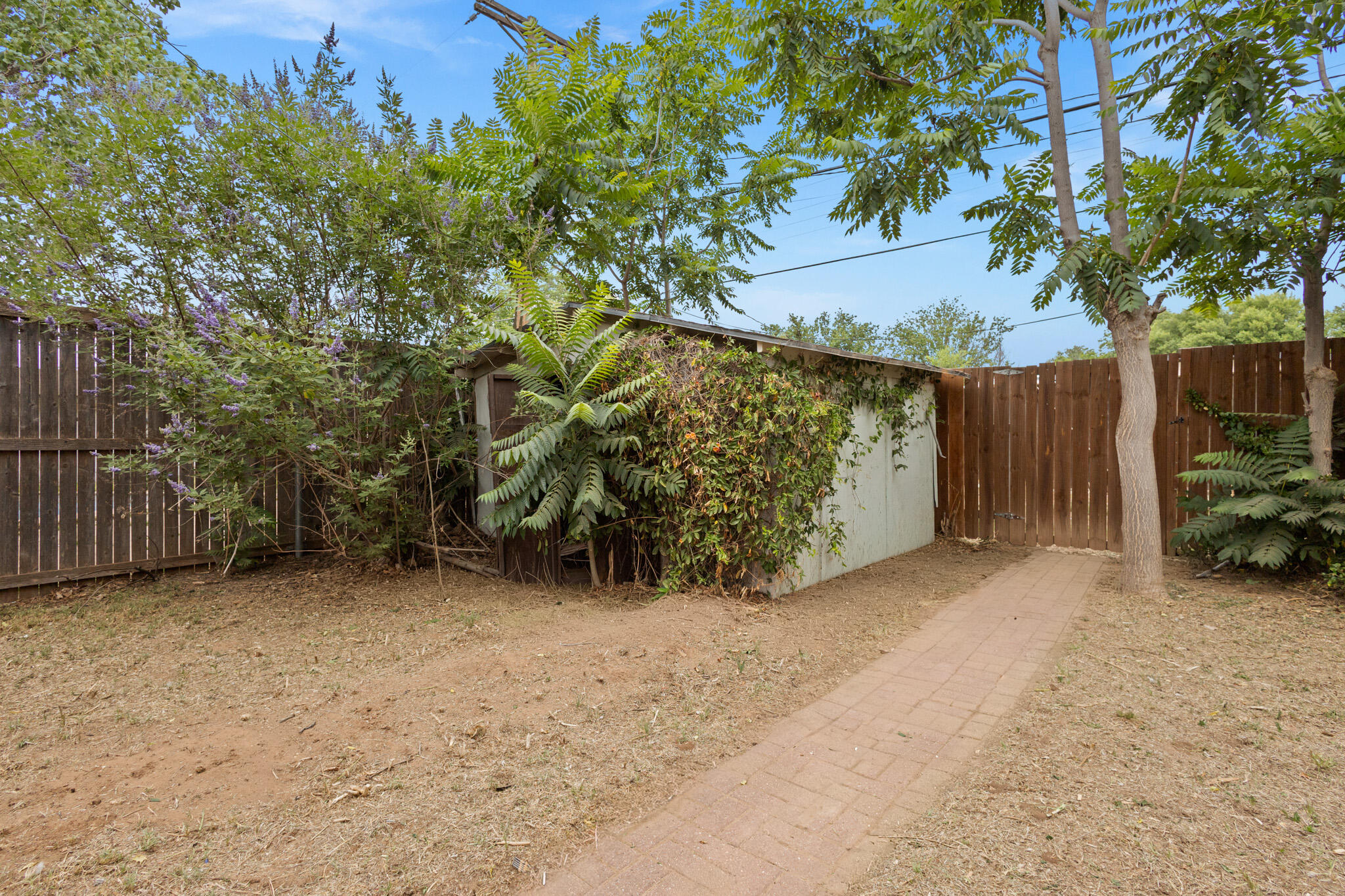4316 45th Street Lubbock, TX 79413 - Photo 55 of 60 IMG_8280