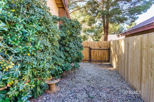 1236 Mountain View Drive Ridgecrest, CA 93555 - Photo 30 of 38 a view of a backyard with plants and wooden fence