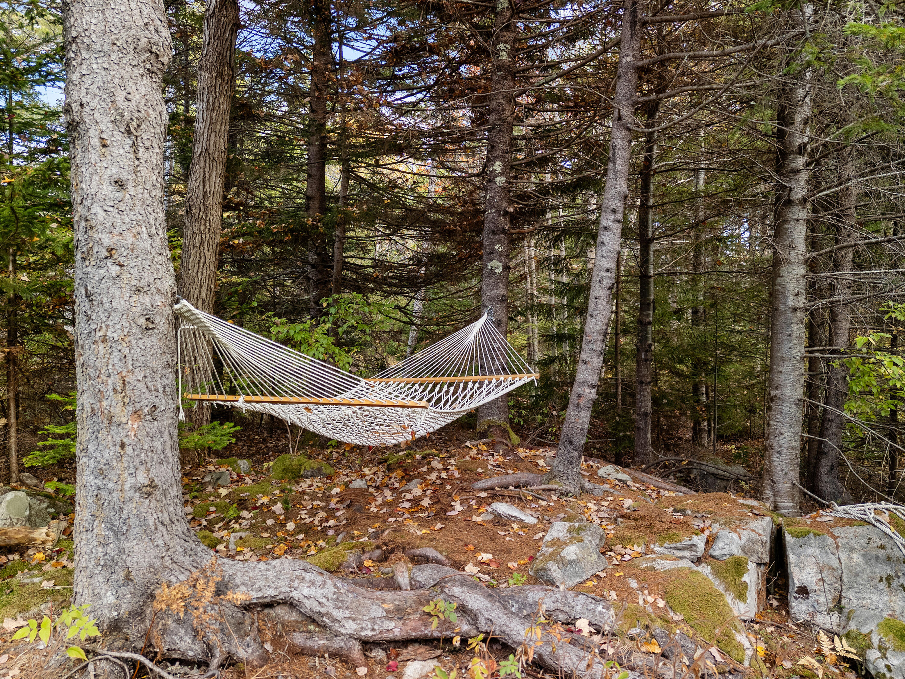 211 Turkey Cove Road St. George, ME 04860 - Photo 6 of 85 0039_DJI_20251029141905_0192_D_neutral