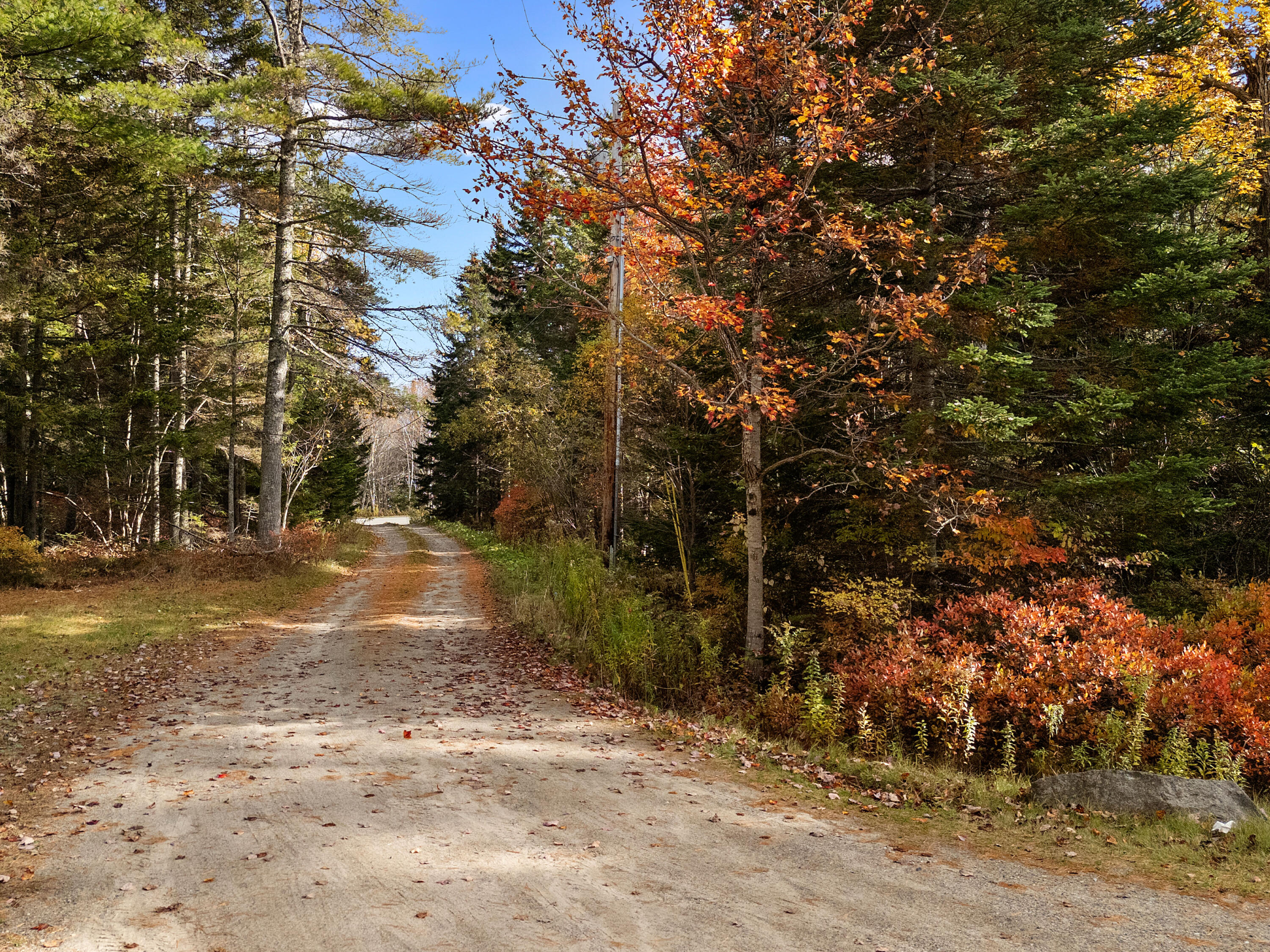 211 Turkey Cove Road St. George, ME 04860 - Photo 63 of 85 0034_DJI_20251029141512_0167_D_neutral