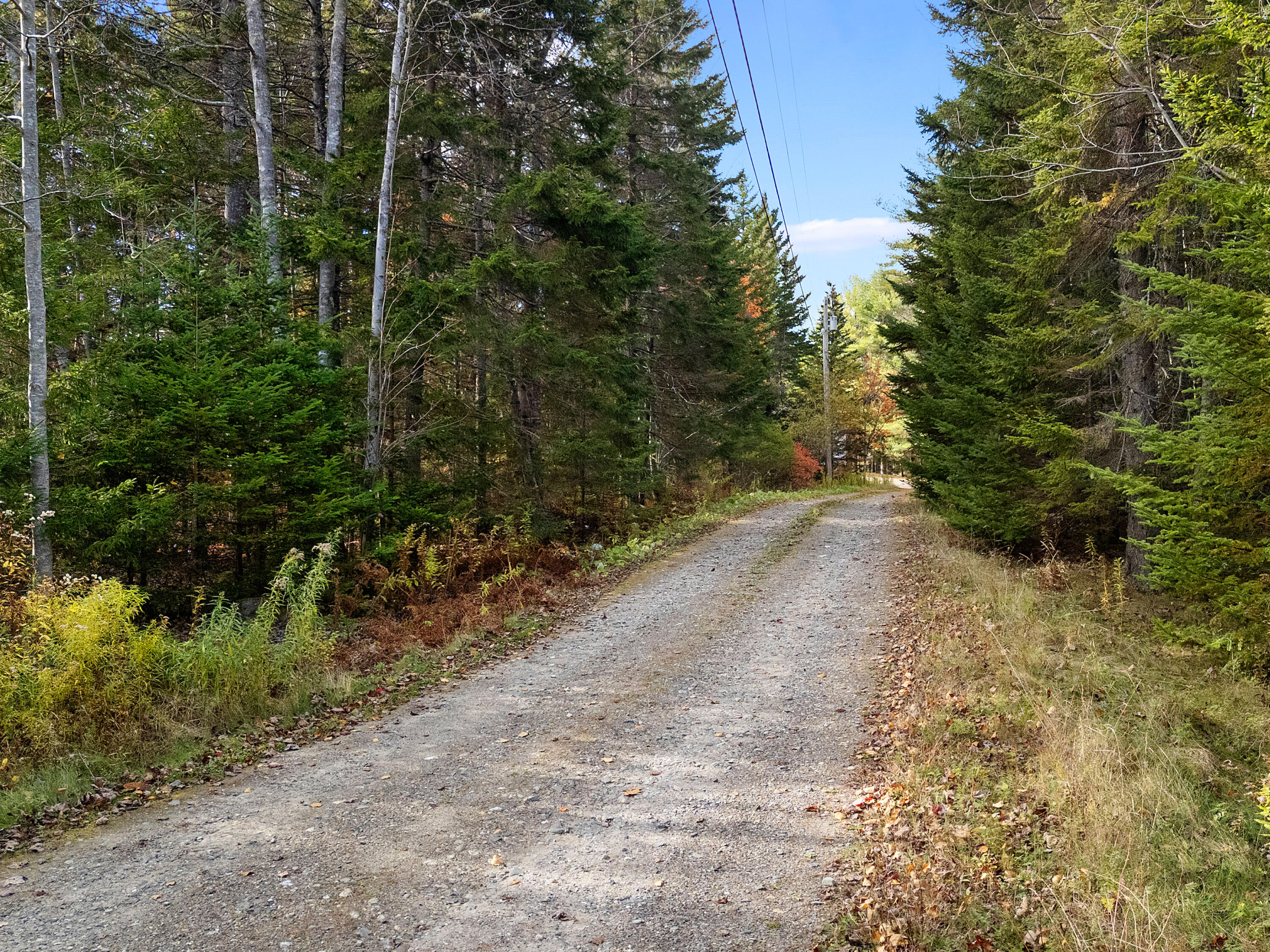 211 Turkey Cove Road St. George, ME 04860 - Photo 67 of 85 0038_DJI_20251029141739_0187_D_neutral