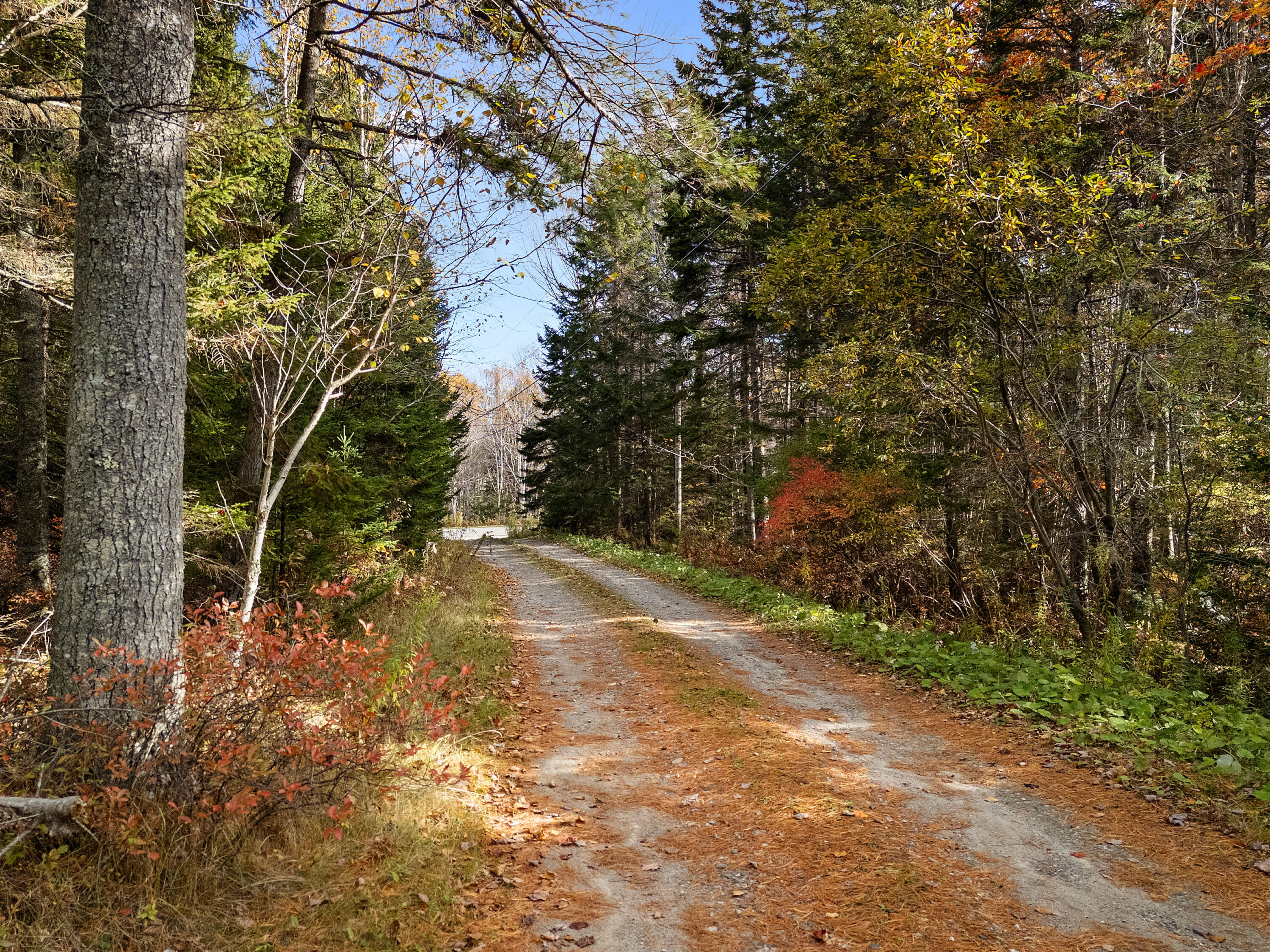 211 Turkey Cove Road St. George, ME 04860 - Photo 71 of 85 0035_DJI_20251029141536_0172_D_neutral