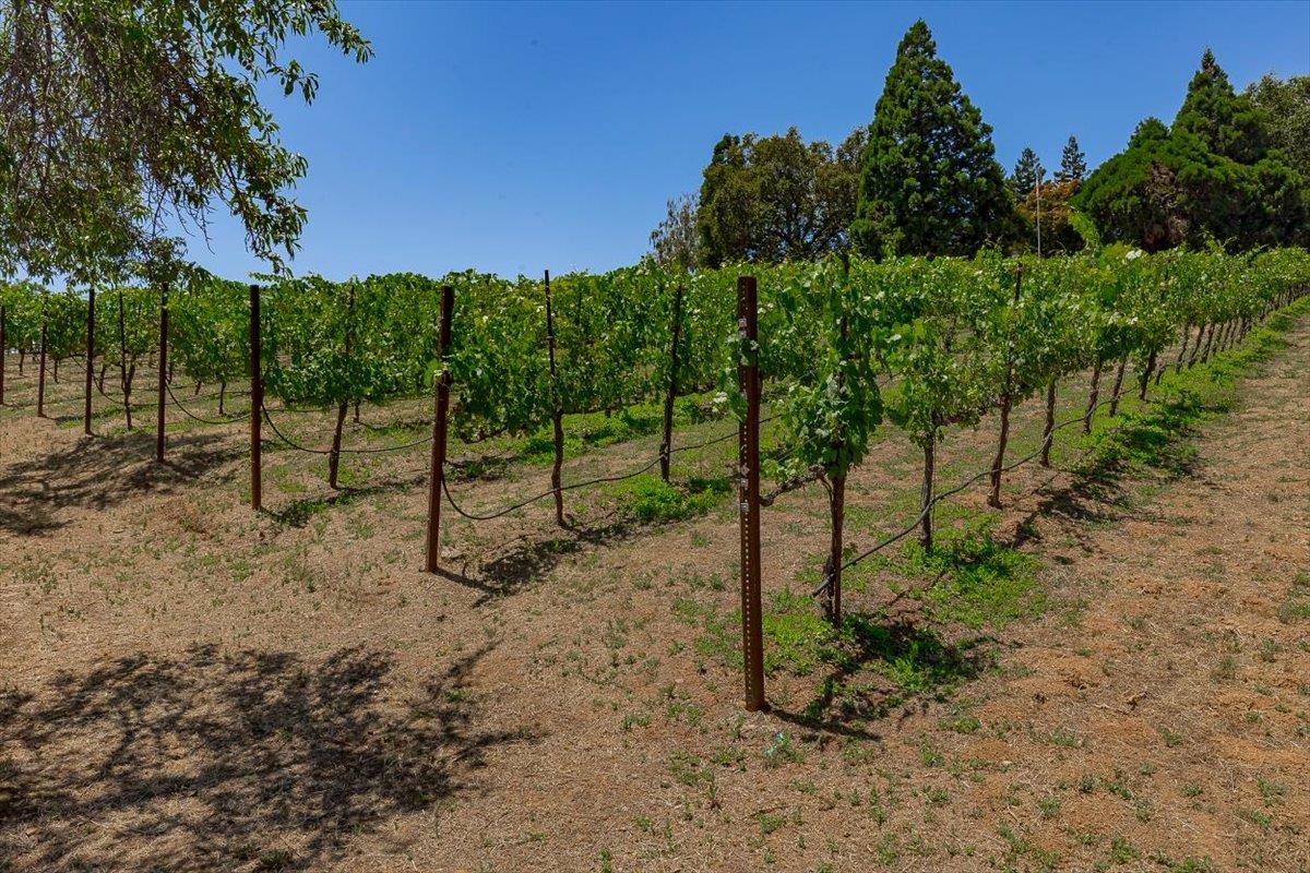 6000 Salmon Falls Road Pilot Hill, CA 95664 - Photo 72 of 96
