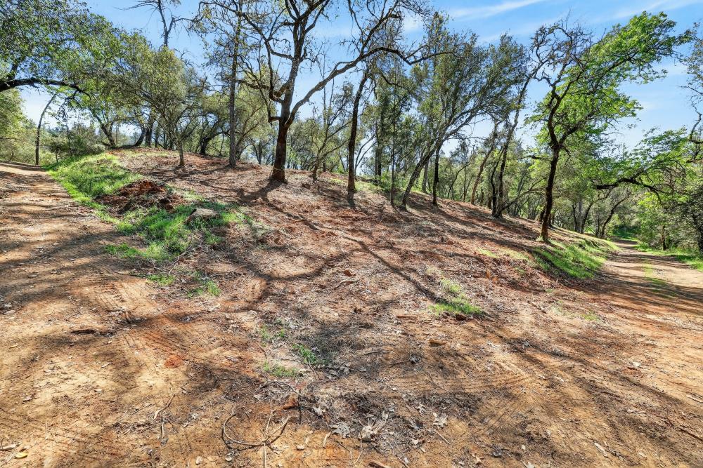 0 Clark Mountain Road Lotus, CA 95651 - Photo 26 of 47 a backyard of a house with lots of green space