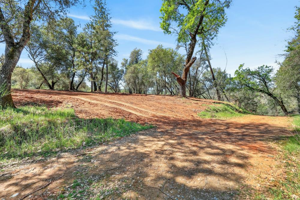 0 Clark Mountain Road Lotus, CA 95651 - Photo 27 of 47 a view of a yard with plants and trees
