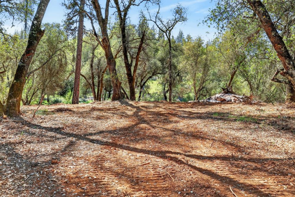 0 Clark Mountain Road Lotus, CA 95651 - Photo 28 of 47 a backyard of a house with lots of green space