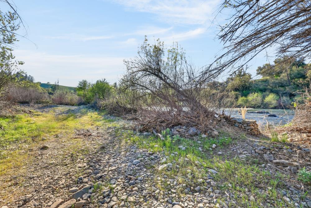 0 Clark Mountain Road Lotus, CA 95651 - Photo 3 of 47 a view of a yard with a tree