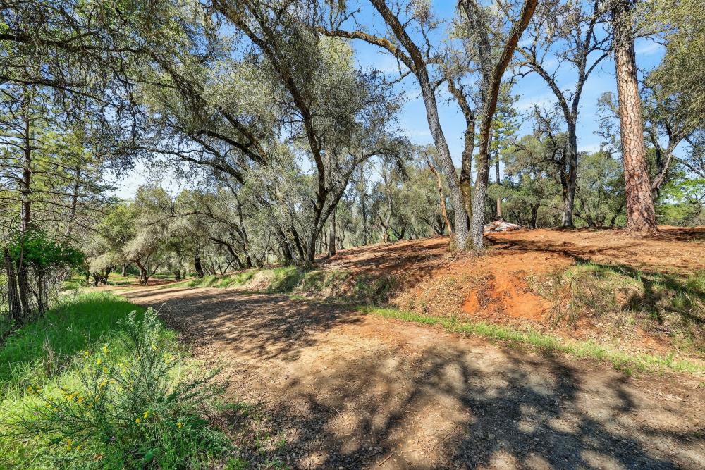 0 Clark Mountain Road Lotus, CA 95651 - Photo 34 of 47 a backyard of a house with lots of green space