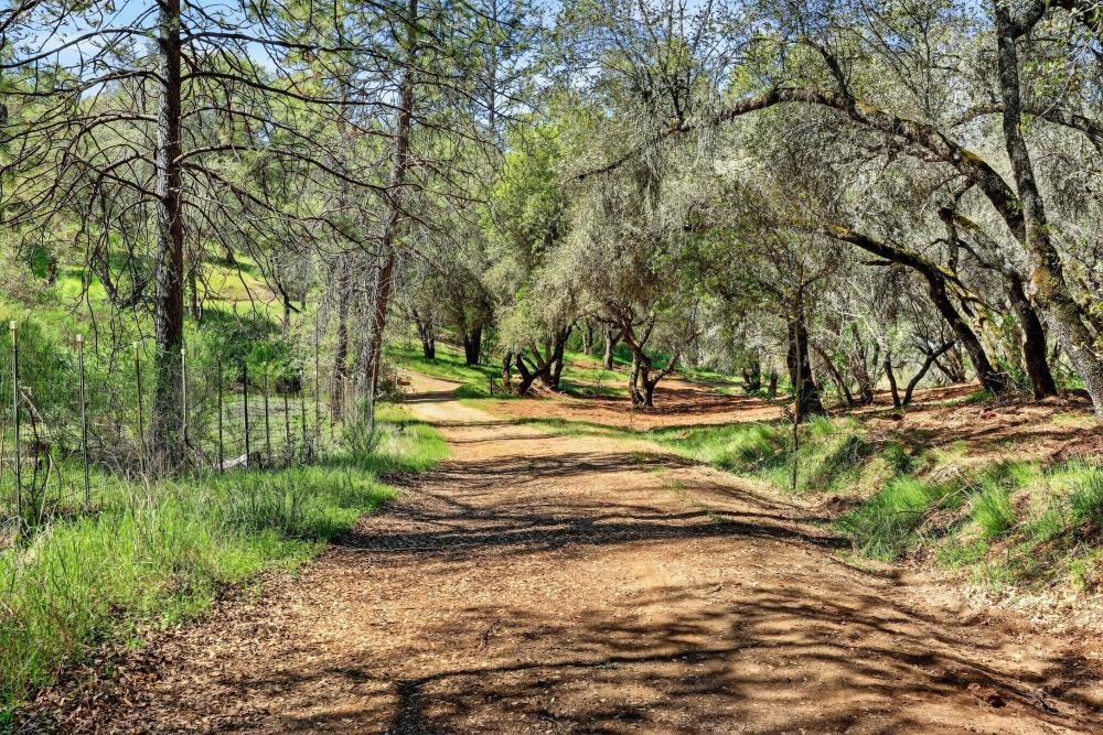 0 Clark Mountain Road Lotus, CA 95651 - Photo 35 of 47 a view of backyard with green space