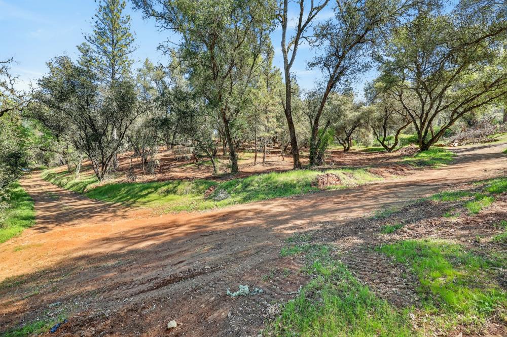 0 Clark Mountain Road Lotus, CA 95651 - Photo 38 of 47 a backyard of a house with a table and chairs