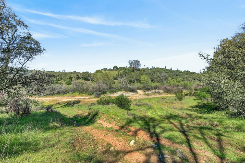 0 Clark Mountain Road Lotus, CA 95651 - Photo 40 of 47 a view of a lush green space