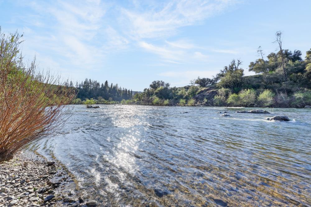 0 Clark Mountain Road Lotus, CA 95651 - Photo 5 of 47 a view of a dry yard with trees in the background