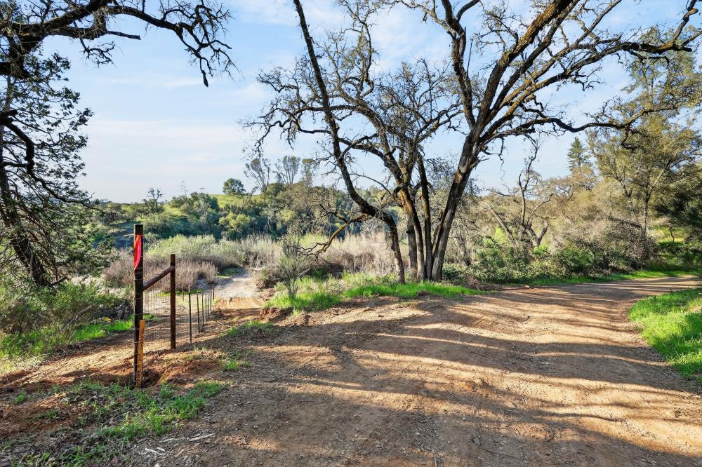 0 Clark Mountain Road Lotus, CA 95651 - Photo 7 of 47 a view of a street with a bench and trees
