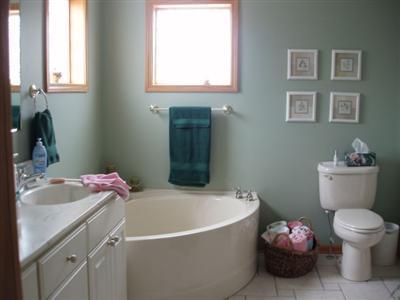 558 Maple Lane Coldwater, MI 49036 - Photo 13 of 17 Additional Photo