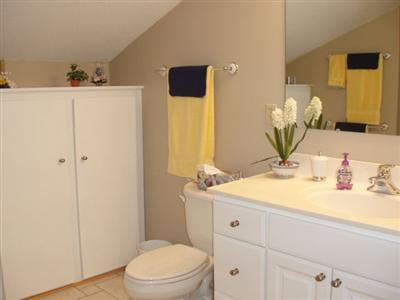 558 Maple Lane Coldwater, MI 49036 - Photo 14 of 17 Additional Photo