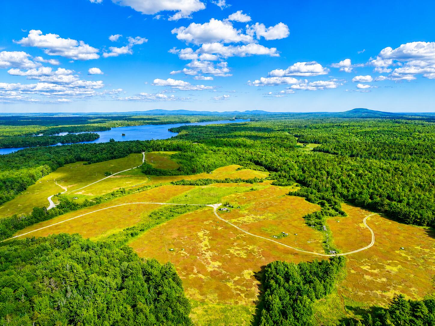 Map19-lot28 Leach Road Penobscot, ME 04476 - Photo 8 of 16 MAP19LOT28 Leach Road