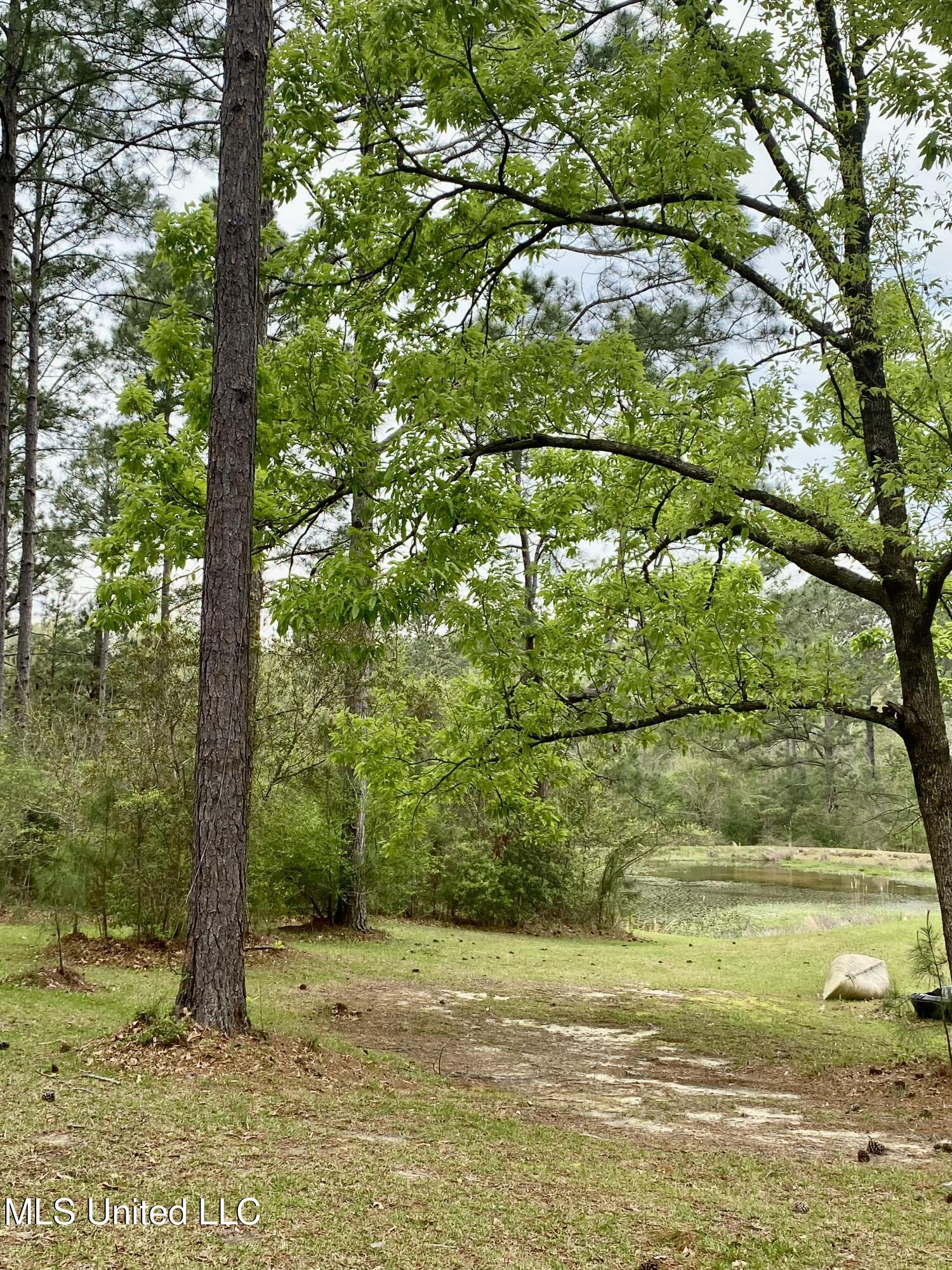 299 Quitman Perry Road Carriere, MS 39426 - Photo 67 of 79 64, Land, IMG_2853