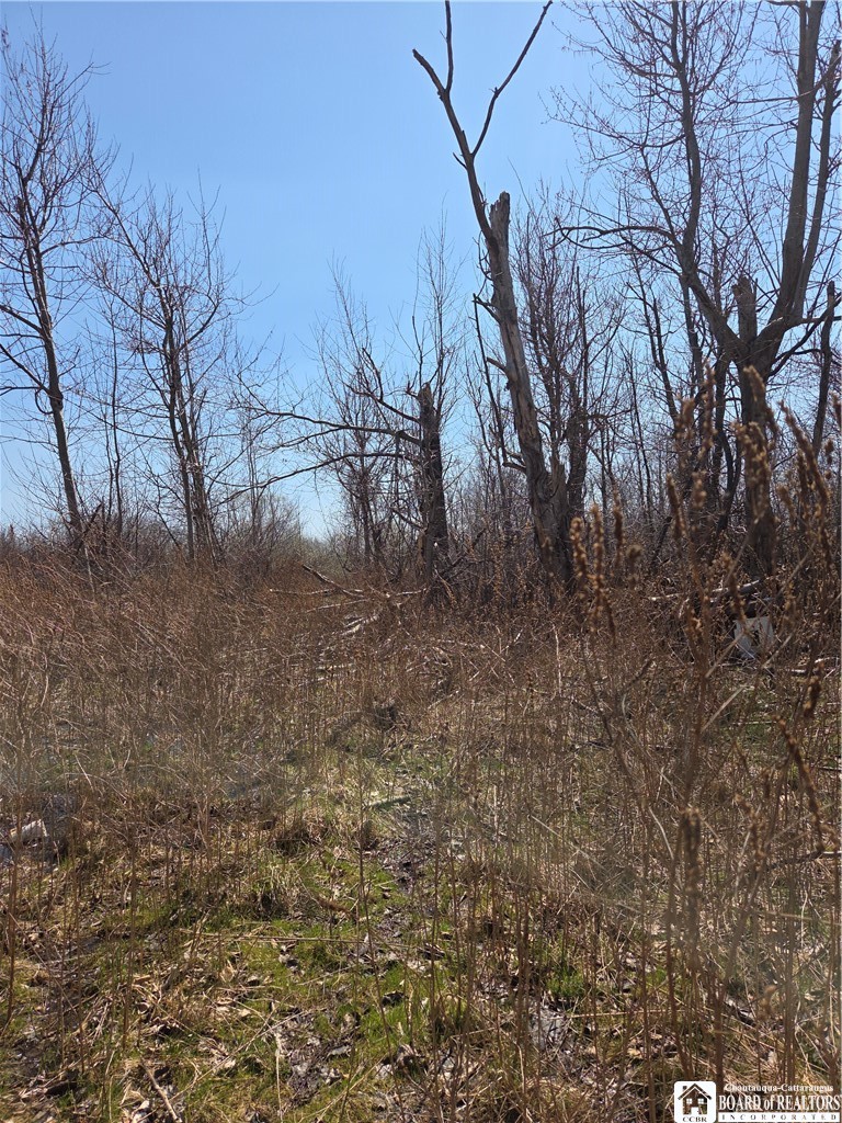 5281 Berry Road Pomfret, NY 14063 - Photo 3 of 5