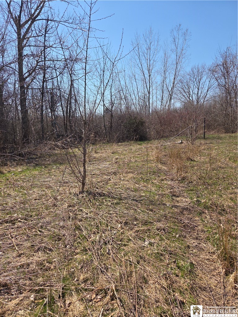 5281 Berry Road Pomfret, NY 14063 - Photo 4 of 5