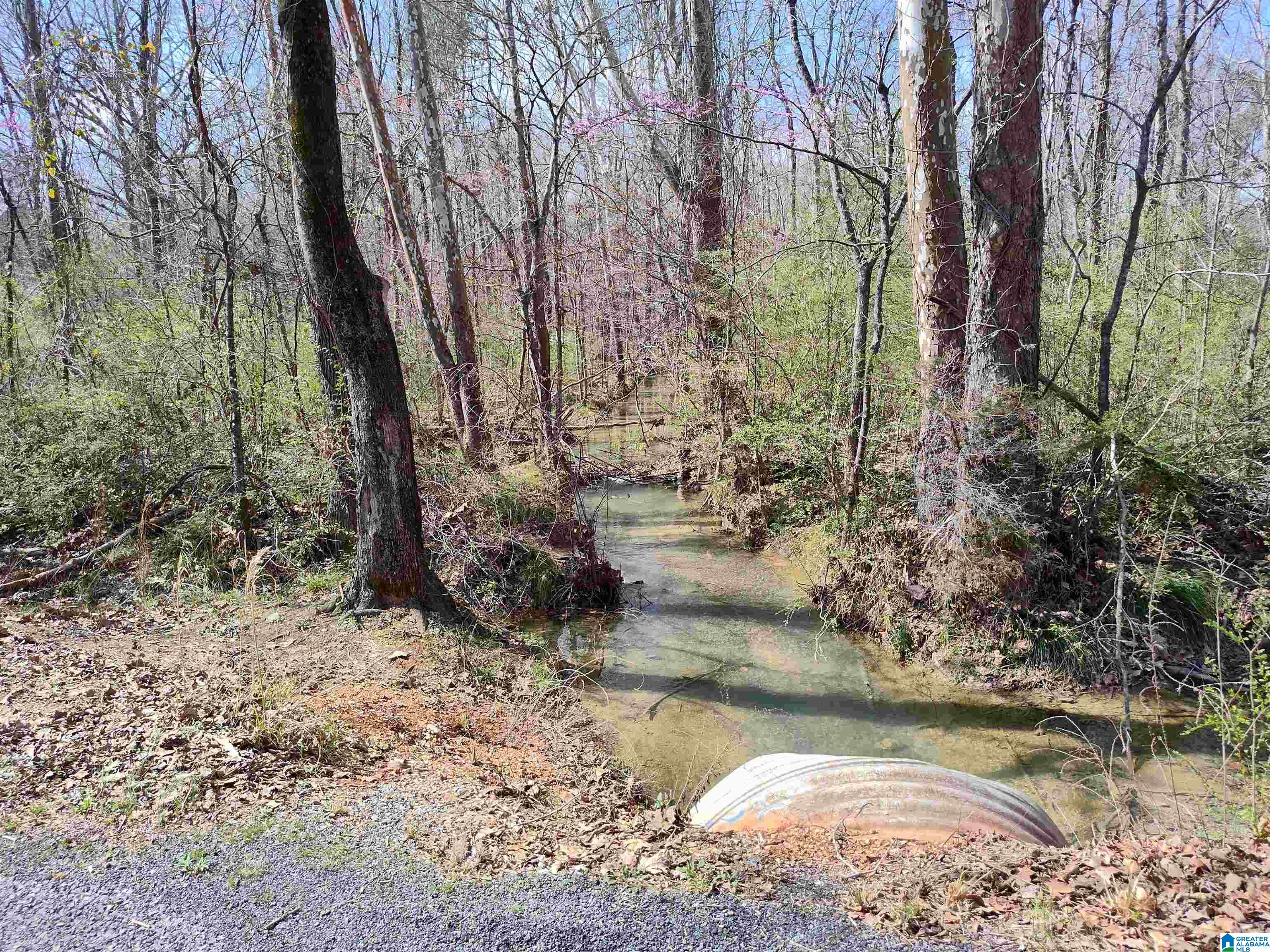 0 Meadow Circle Sylacauga, AL 35150 - Photo 4 of 6